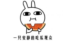 吃瓜网,吃瓜网带你领略明星幕后故事